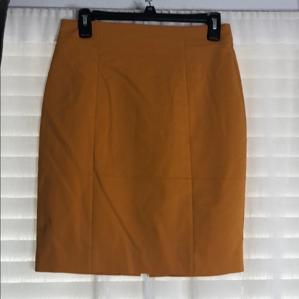 Dress Skirt